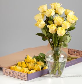 The Letterbox Friendship Yellow Roses