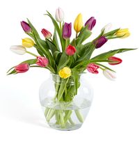 Tap to view Spring Tulips Bouquet