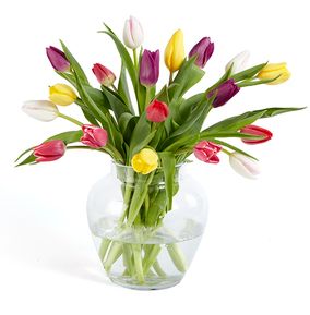 Spring Tulips Bouquet