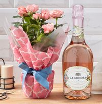 Gift Wrapped Pink Rose and Rose Prosecco Set