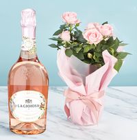 Gift Wrapped Pink Rose and Rose Prosecco Set