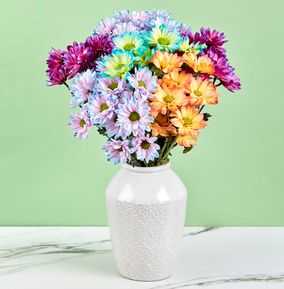 The Rainbow Chrysanthemums Bouquet