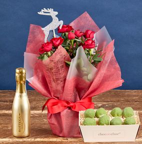Red Rose, Fizz & Sprout Gift Set