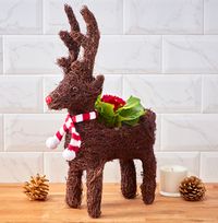 Rustic Reindeer Primrose Planter