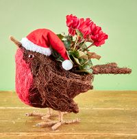Bobby The Robin Winter Planter