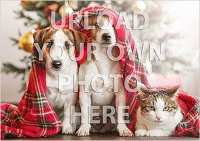 Full Photo Pets Landscape Christmas Card