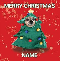 Dog Christmas Outfit Personalised Card