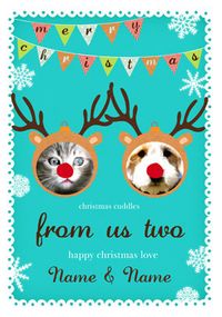 Bauble Yourself - Xmas Pets Christmas Card