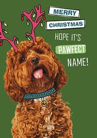 Pawfect Christmas Personalised Card
