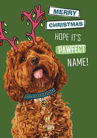 Tap to view Pawfect Christmas Personalised Card