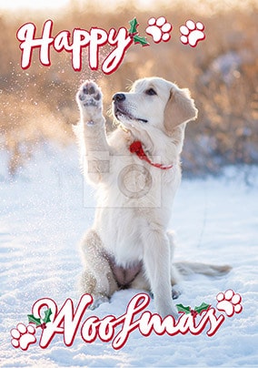 Droll Merry Christmas Golden Retriever Christmas Cards