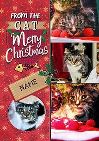 4 Photo from the Cat at Christmas personalised Card