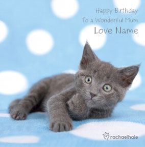Grey Kitten Wonderful Mum personalised Birthday card