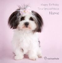 Tap to view Shih Tzu Birthday Card - Rachael Hale