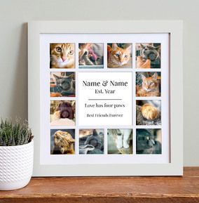Cat Photo Collage Frame