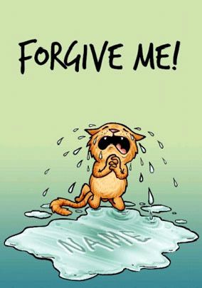 DS Cats - Forgive Me