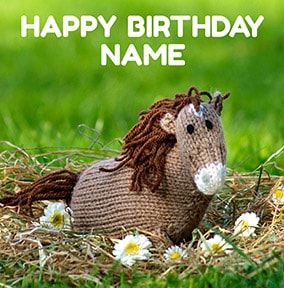 Happy Birthday Horse Card - Knit & Purl