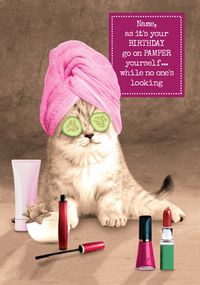 Animal Antics - Pampered Cat