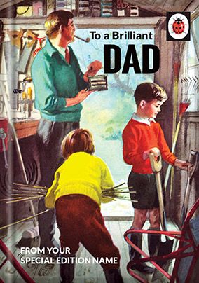 Brilliant Dad Ladybird Book Birthday Card