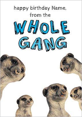 From the Gang Humorous Birthday Card