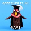 Good Luck Exams Cards