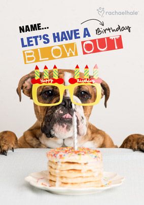 Boxer Dog Birthday Card - Rachael Hale