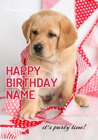 Tap to view Puppy It's Party Time Birthday Card - Rachael Hale