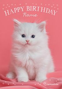 Tap to view White Kitten Birthday Card