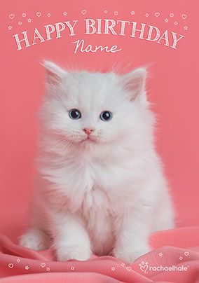 PERSONALISED WHITE KITTEN CAT BIRTHDAY ANNIVERSARY ANY OCCASION CARD insert