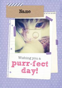 Tap to view Pick of the Litter - Purr-fect Birthday