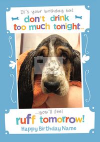 Tap to view Pick of the Litter - Feeling Ruff
