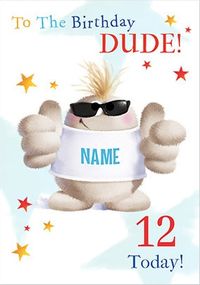 Hugmeez - 12th Birthday Dude