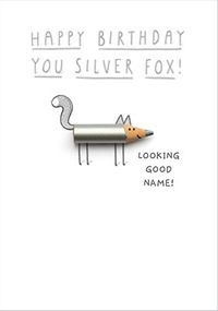Happy Birthday You Silver Fox Personalised Card