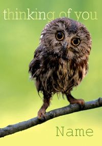Tap to view Woodmansterne - Thinking Of You Owl