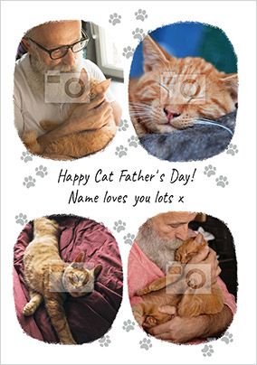 Happy Cat Father's Day Photo Card