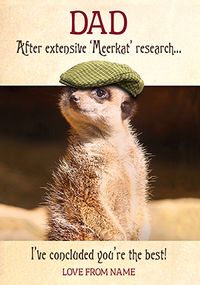 Pigment - Meerkat Dad Research