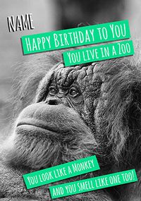 Tap to view Birthday Animals - Birthday Card You Live in a Zoo