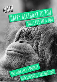 Tap to view Birthday Animals - Birthday Card You Live in a Zoo