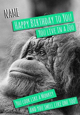 Birthday Animals - Birthday Card You Live in a Zoo