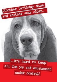 Tap to view Basset Hound Birthday Card - Paw Play