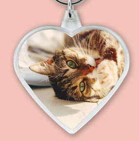 Full Photo Cat Heart Keyring