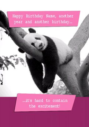 Panda Birthday Card - Paw Play