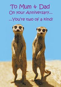 Meerkat Two Of A Kind Anniversary Card