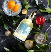 Most Wonderful Time of Year Light Up Snow Globe Gin