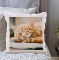 Cat Full Photo Cushion