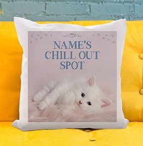 Kitten Chill Out Spot Cushion - Rachael Hale
