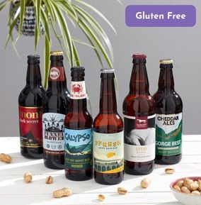 Gluten Free Beer 6 Pack