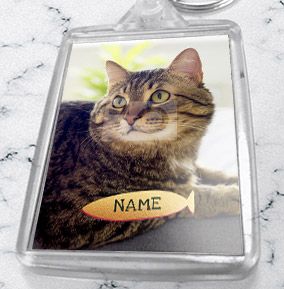 Cat Photo & Name Keyring