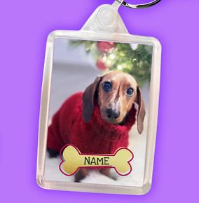 Dog Photo & Name Keyring