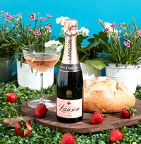 Lanson Rosé Half Bottle Champagne